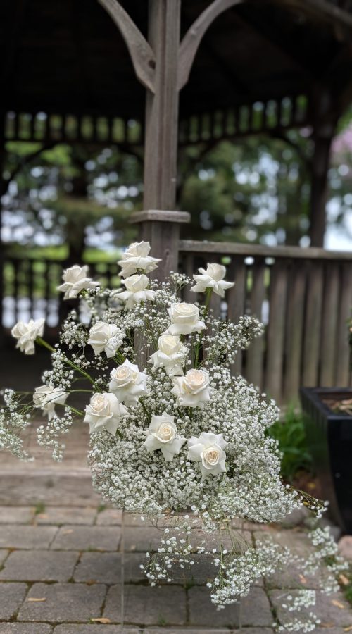 PXL_20250530_182638250.PORTRAIT