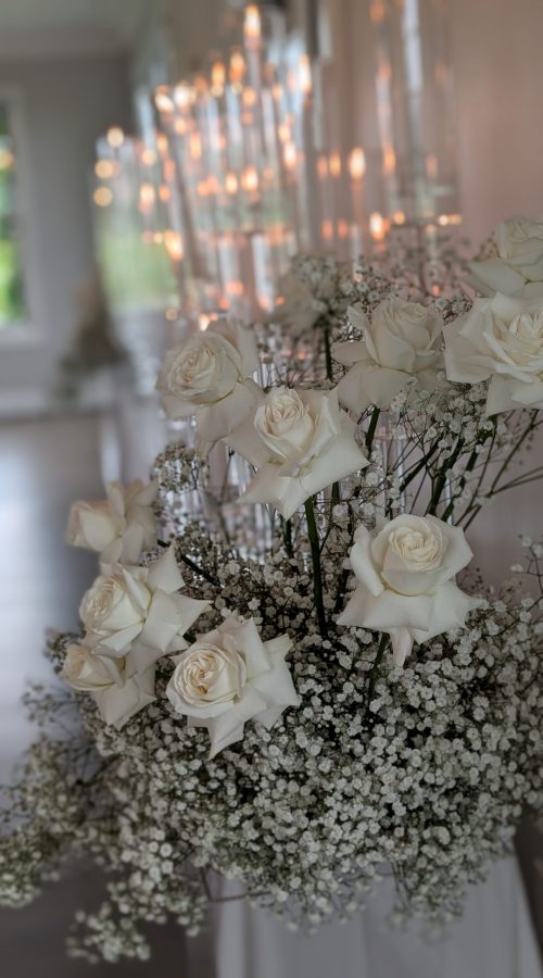 PXL_20250530_213145116.PORTRAIT