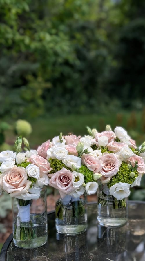 PXL_20250829_173701616.PORTRAIT