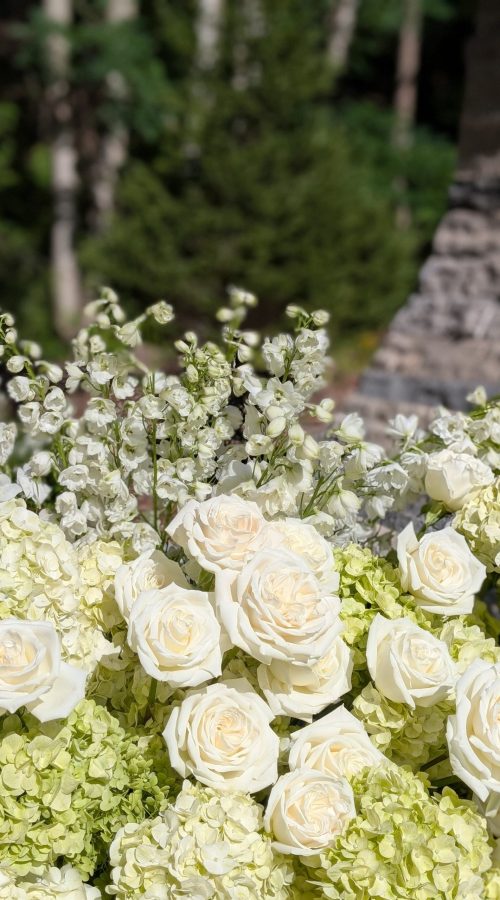 PXL_20250829_201051196.PORTRAIT