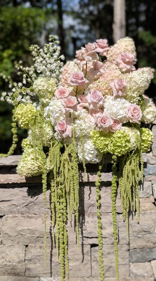 PXL_20250829_201107321.PORTRAIT