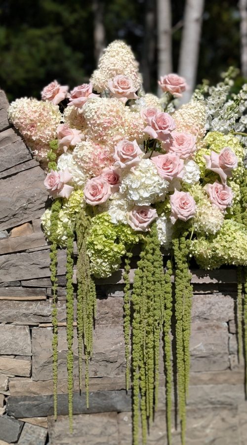 PXL_20250829_201114269.PORTRAIT